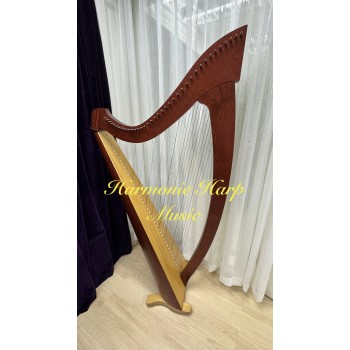 2nd Hand Salvi Titan 38 Strings Lever Harp 2nd Hand Salvi Titan 38 Strings Lever Harp